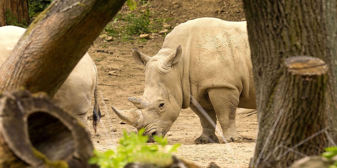 Out of Africa Wildlife Park