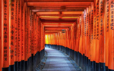 Pathway through red torii gates at Fushimi Inari Taisha Shrine, Kyoto.