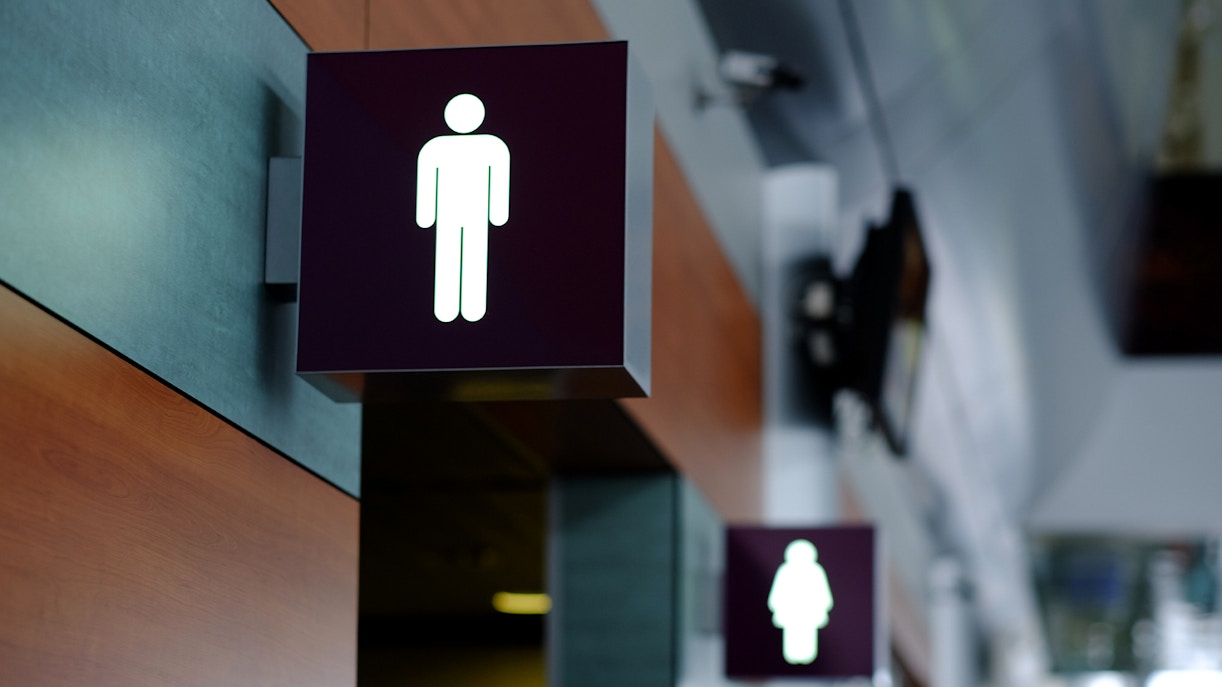 Modern washroom facilities with sinks and mirrors in a tourist attraction.