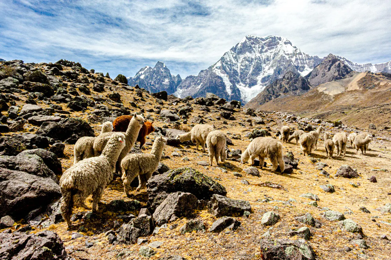 from cusco: sibinacocha lake & ausangate 5-day trek-6
