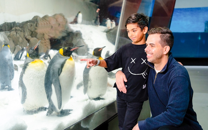 Child and adult observing penguins at SEA LIFE Melbourne.