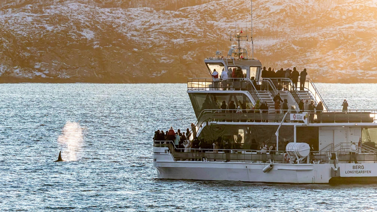 https://cdn-imgix.headout.com/media/images/05139495be2e6e1e6c7a544d1aac78b8-29459-tromso-full-day-silent-whale-watching-hybrid-electric-cruise-07.jpg