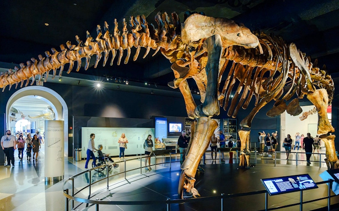 Dinosaur skeleton exhibit at Miriam and Ira D. Wallach Orientation Center, American Museum of Natural History.