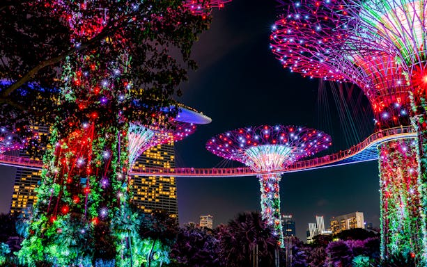 Illuminated Supertree Grove at Gardens by the Bay, Singapore, with colorful lights.