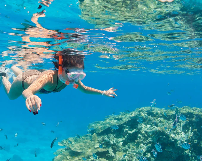 Premium Sharm El Naga Full-Day Snorkeling with Turtles - Hurghada