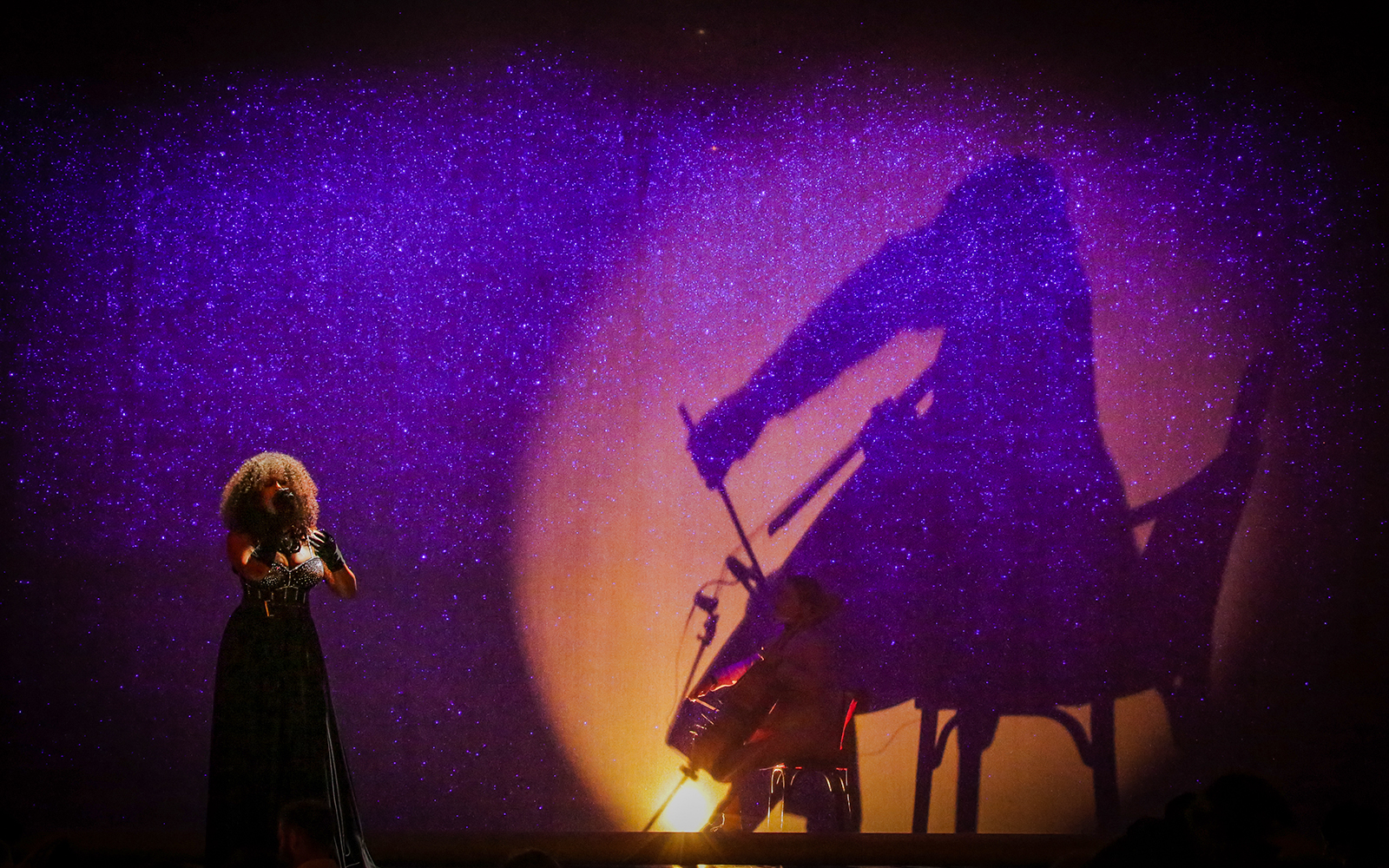 Performer singing with shadow of cellist at Paradis Latin festive show.