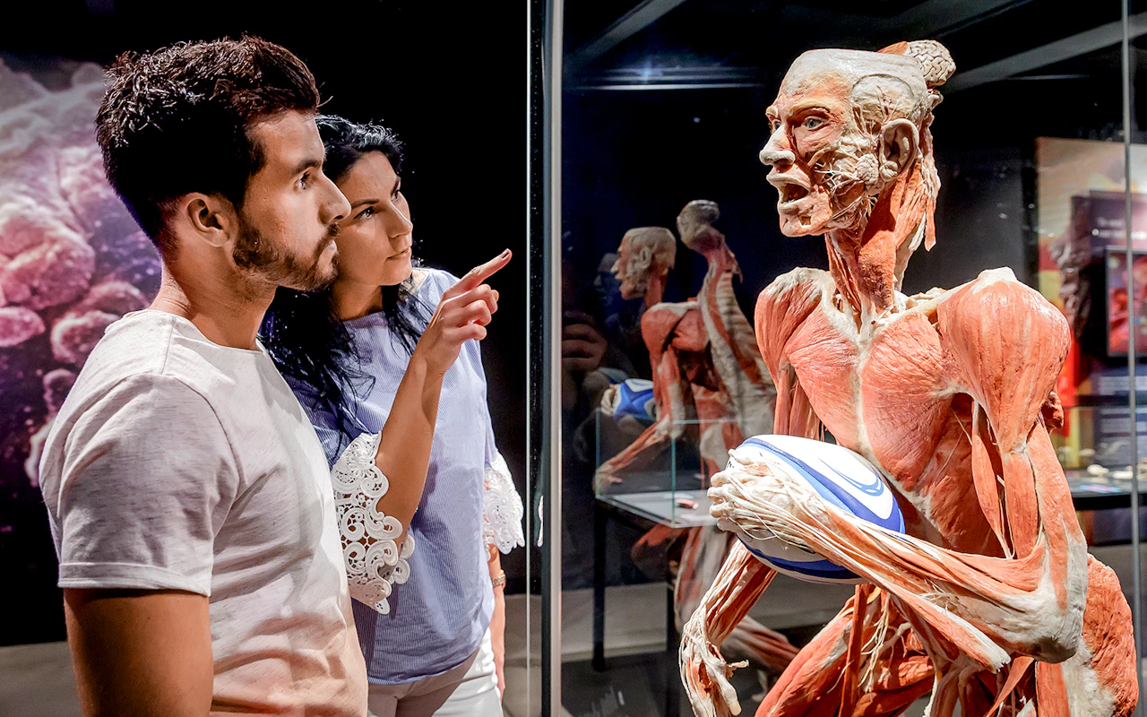 Berlin BODY WORLDS Museum Tickets — 3