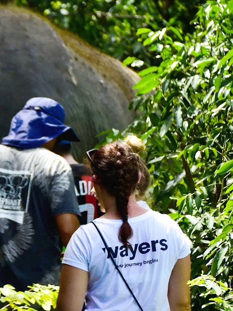 Tourists walking with an elephant through lush greenery on a guided tour.