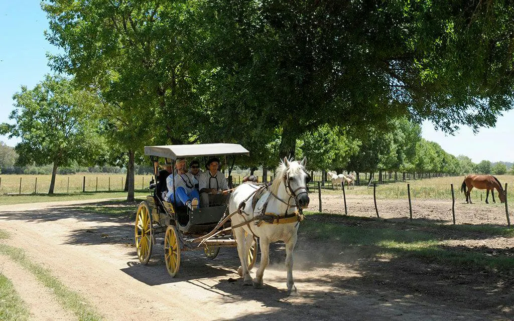 Horse-drawn carriage with tourists on a Gaucho tour at an estancia, Argentina.