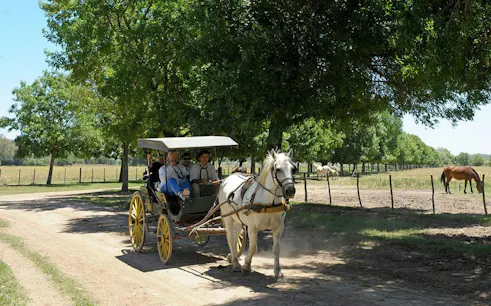Horse-drawn carriage with tourists on a Gaucho tour at an estancia, Argentina.