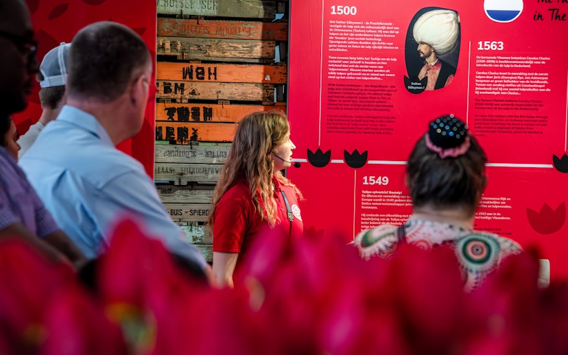 Tour guide explaining tulip history at Tulip Experience Amsterdam exhibit.