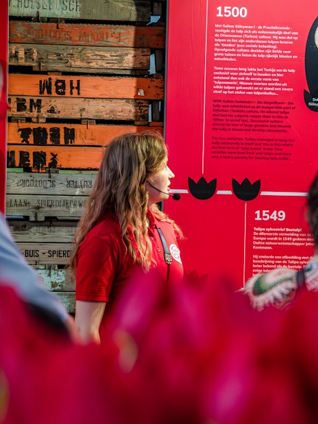 Tour guide explaining tulip history at Tulip Experience Amsterdam exhibit.