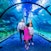 Dubai Aquarium & Underwater Zoo
