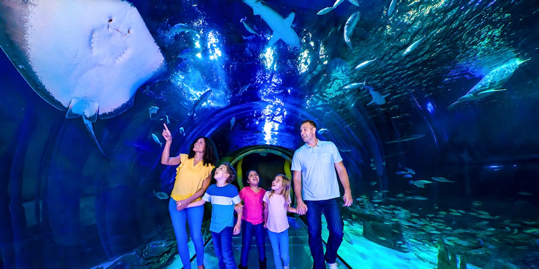 Biglietti SEA LIFE Orlando