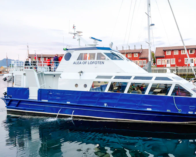 From Svolvær: Lofoten Trollfjord Cruise & Sea Eagle Safari