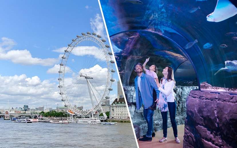London Eye and family exploring SEA LIFE London Aquarium tunnel.