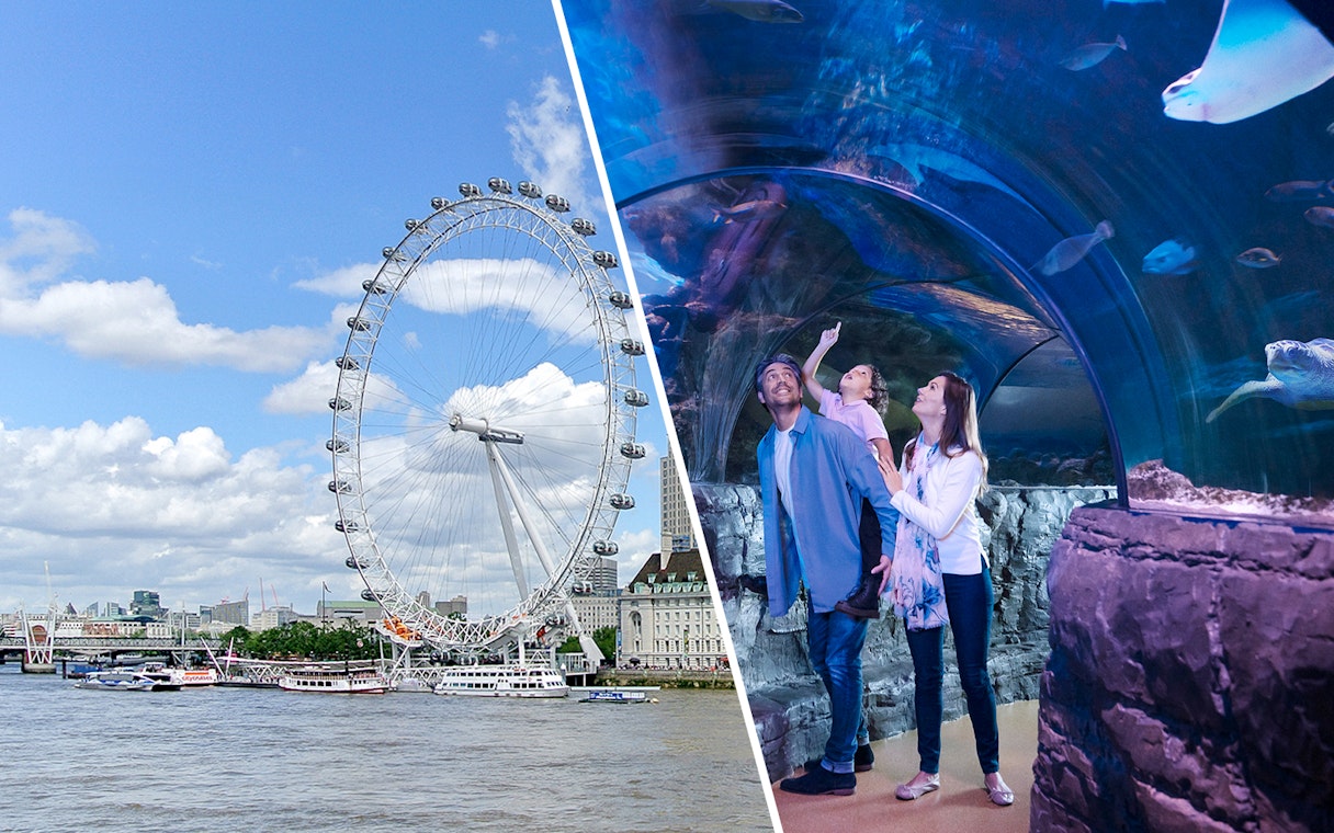 London Eye and family exploring SEA LIFE London Aquarium tunnel.