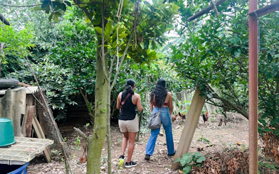 Hanoi Guided Jeep City Tour with Train Street, French Quarter and Red River Communities