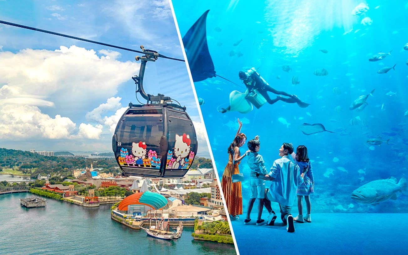 Singapore Cable Car over Sentosa Island and family watching diver in S.E.A Aquarium.
