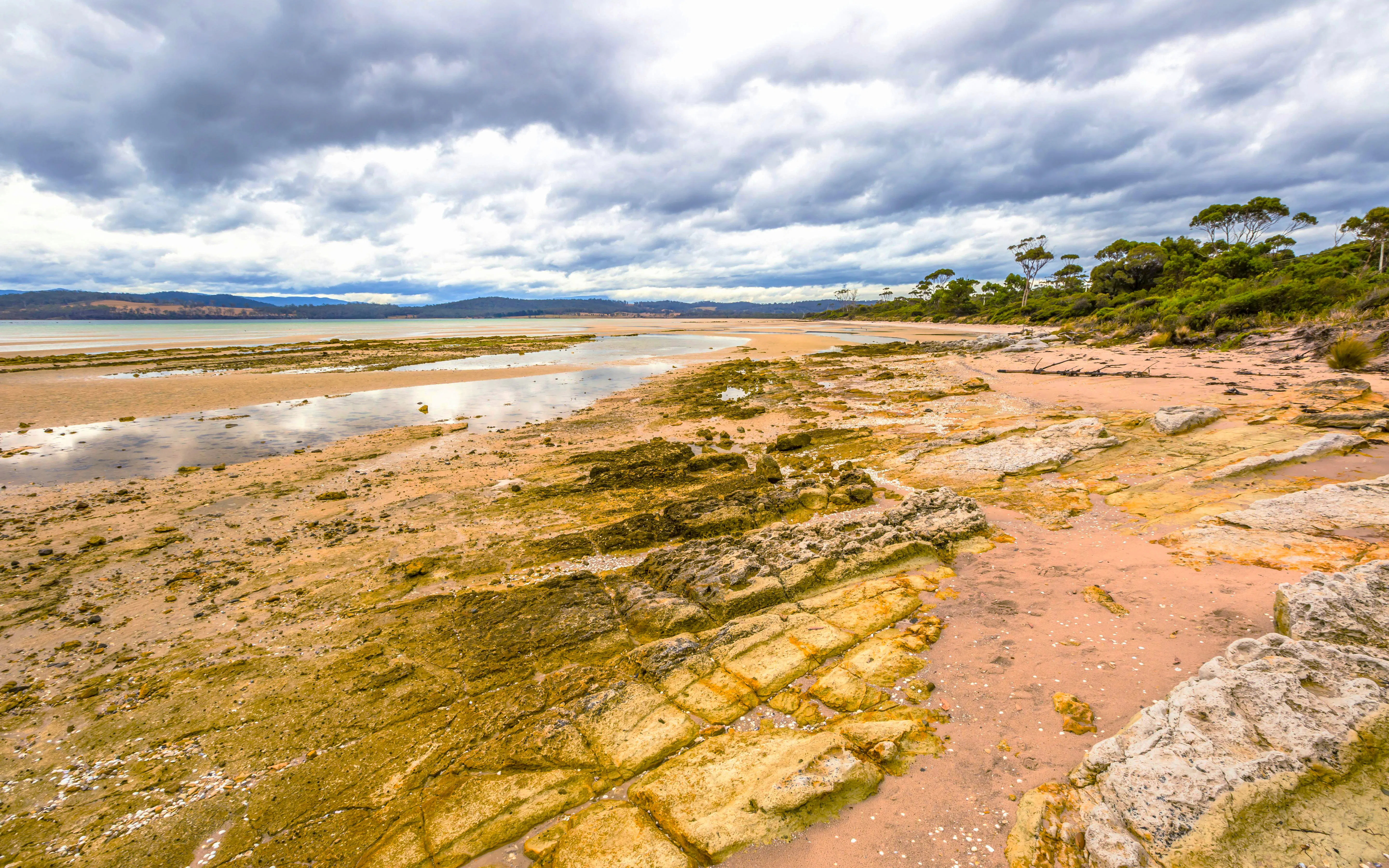 Rocky shoreline at Dennes Point, Bruny Island, with overcast sky and distant hills.