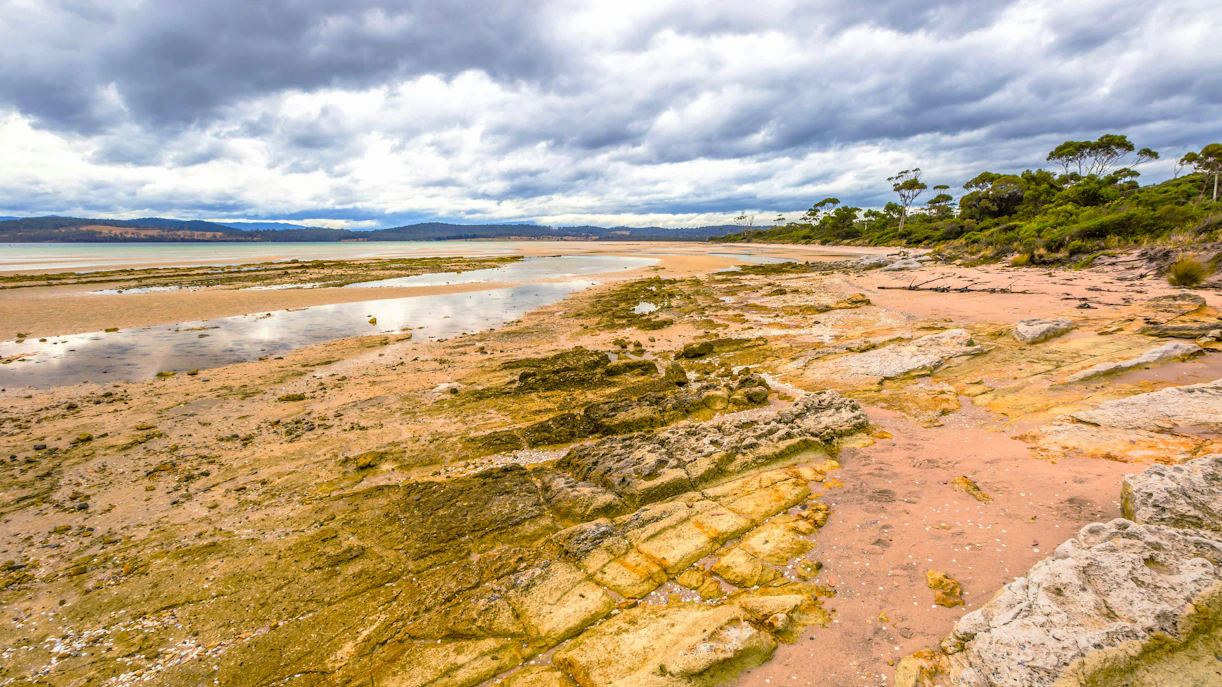 Rocky shoreline at Dennes Point, Bruny Island, with overcast sky and distant hills.