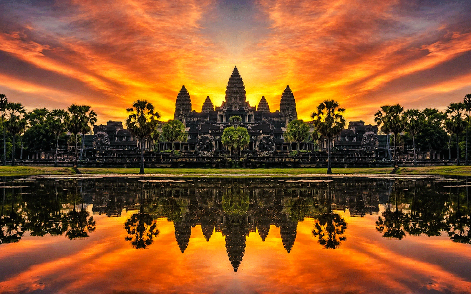 Angkor Wat, Angkor Thom, Bayon and Ta Prohm Guided Tour with Hotel Transfers (Product 53107)