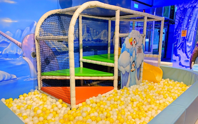 Indoor playground with ball pit and slides at Amazonia Singapore.