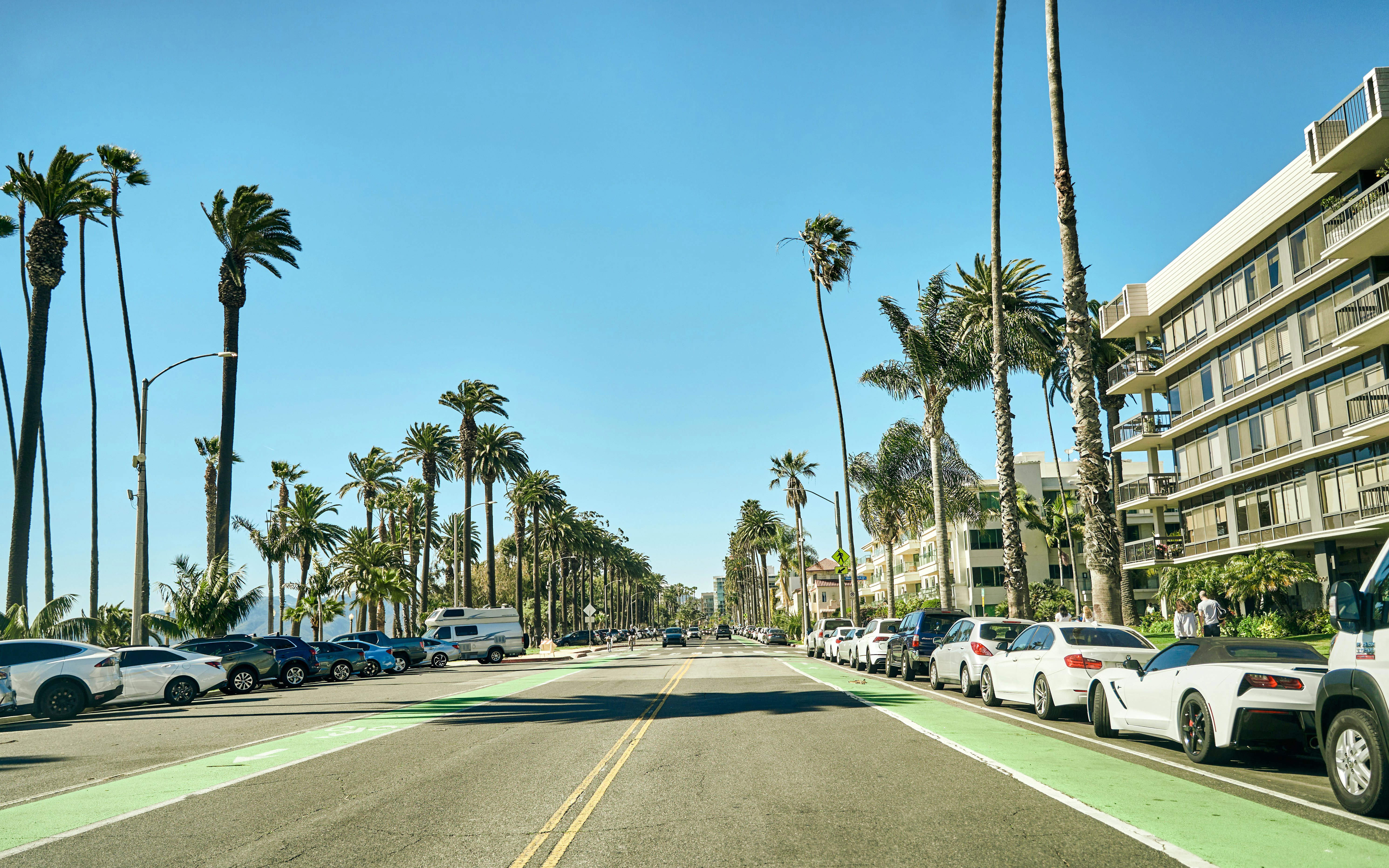 Palm trees lining Santa Monica Boulevard with buildings and parked cars.