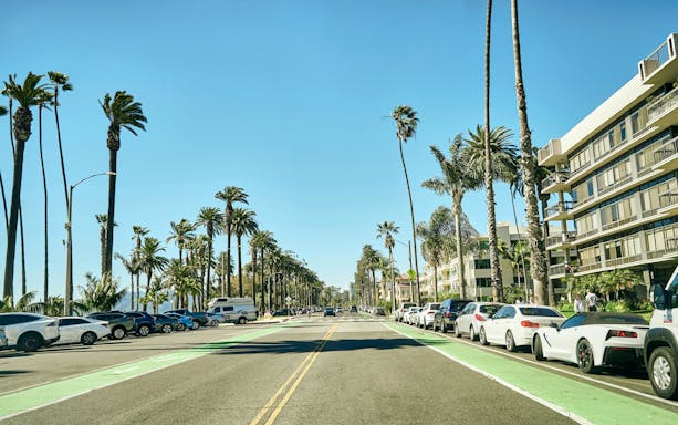 Palm trees lining Santa Monica Boulevard with buildings and parked cars.