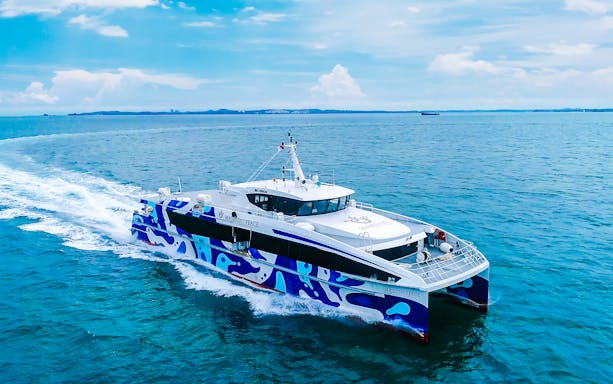 Majestic Fast Ferry cruising on open sea under clear sky.