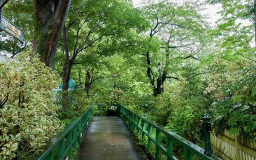 Pathway through lush greenery at Inokashira Park near Studio Ghibli Museum, Tokyo.
