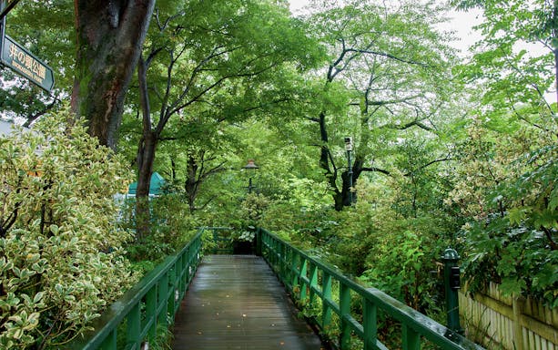 Pathway through lush greenery at Inokashira Park near Studio Ghibli Museum, Tokyo.