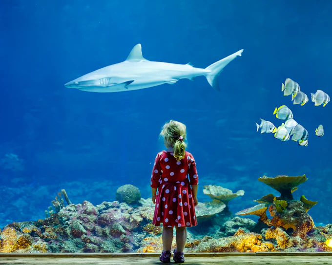 Aquarium de Paris Priority Access Tickets
