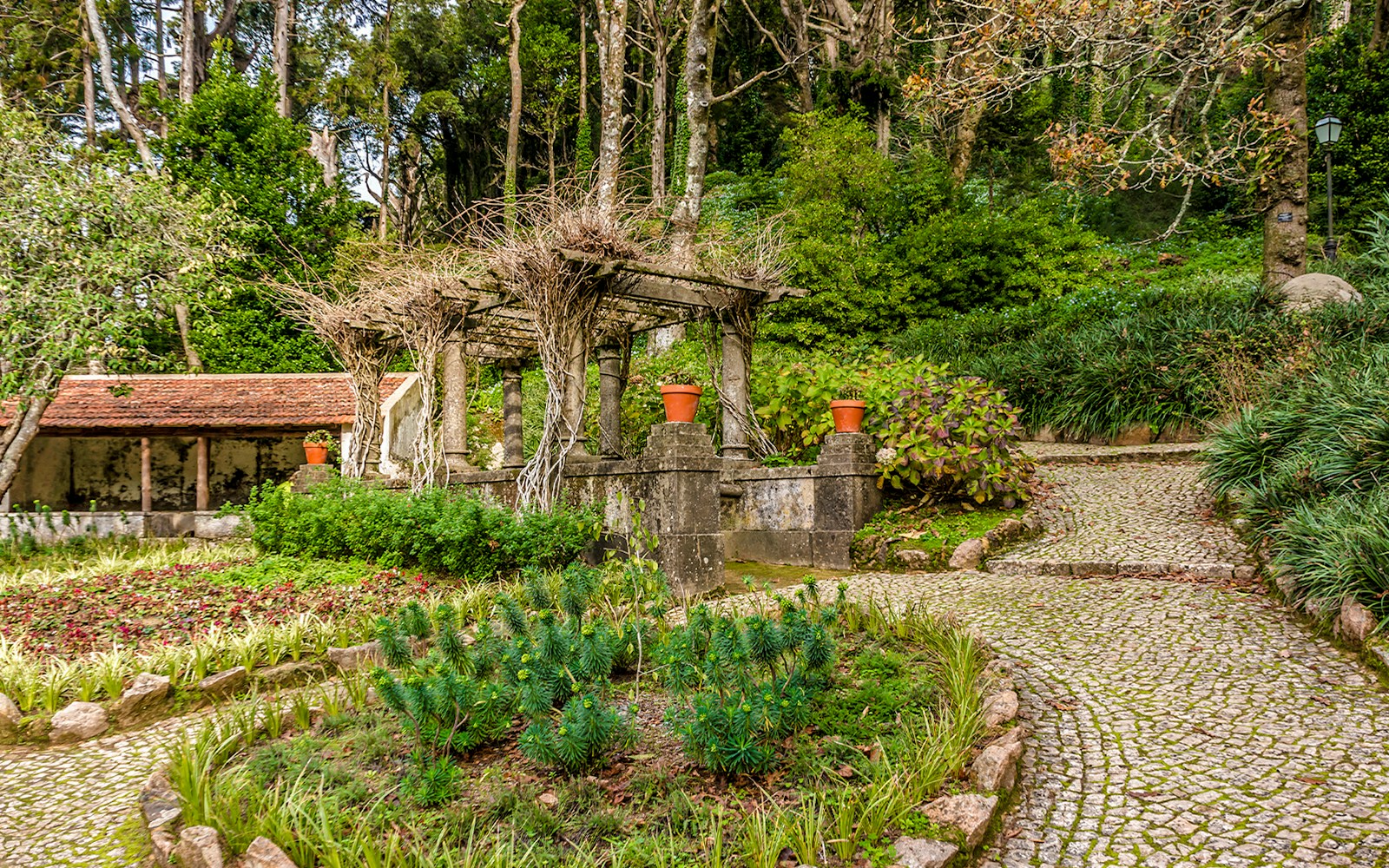 Pena National Palace garden with stone pathway and vine-covered pergola.