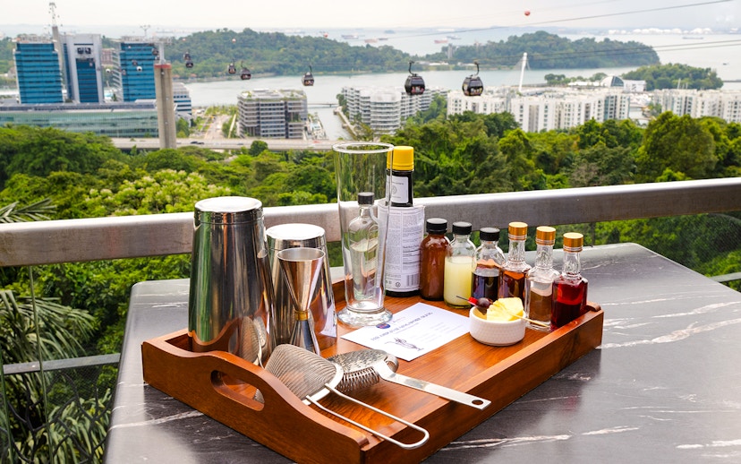 Cocktail ingredients and tools on a table with Singapore cable car view at Mirabilis bar.