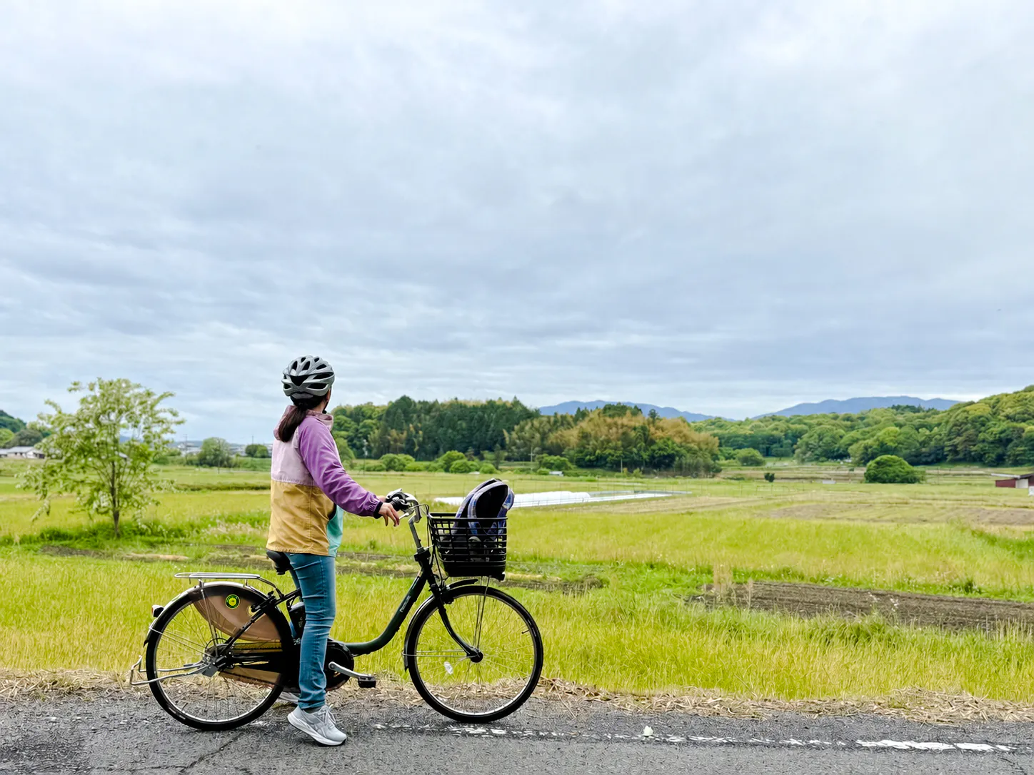 Cyclist on e-bike tour overlooking Nara countryside fields.