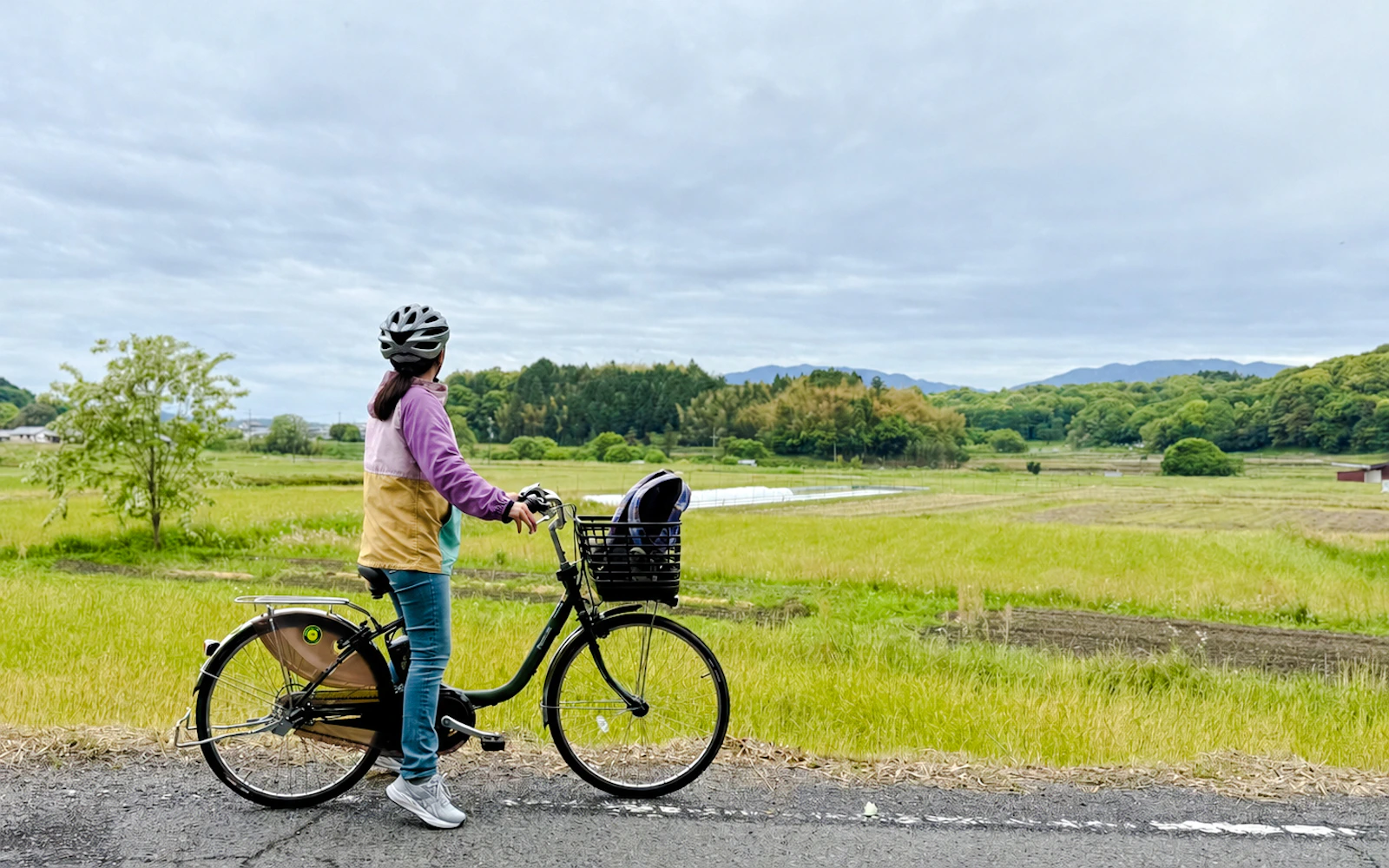 Asuka Nara Historical E-Bike Tour (Product 55828)