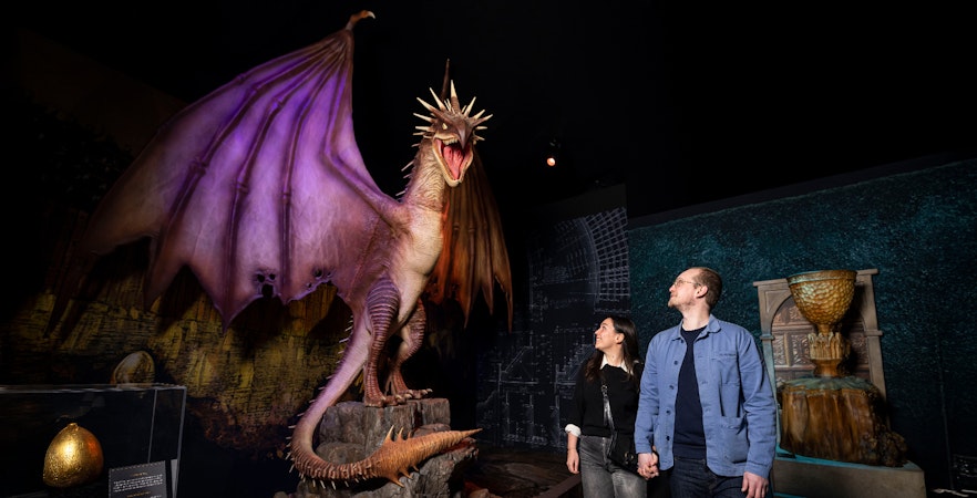 Reservar Harry Potter™: La exposición Entradas