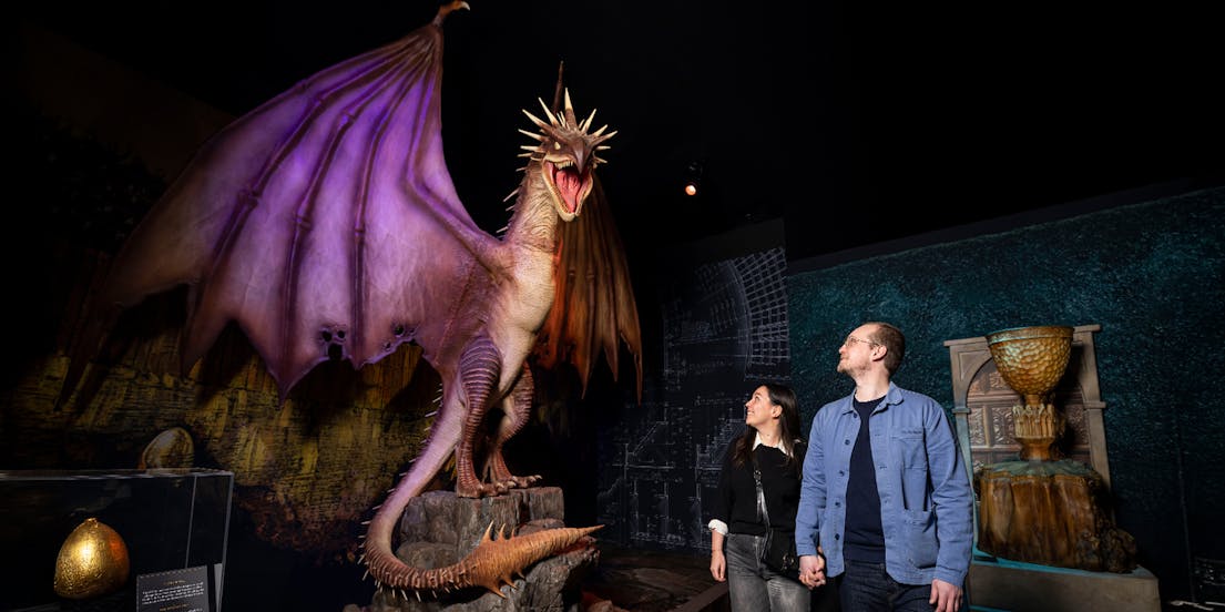 Book Harry Potter™: The Exhibition Tickets
