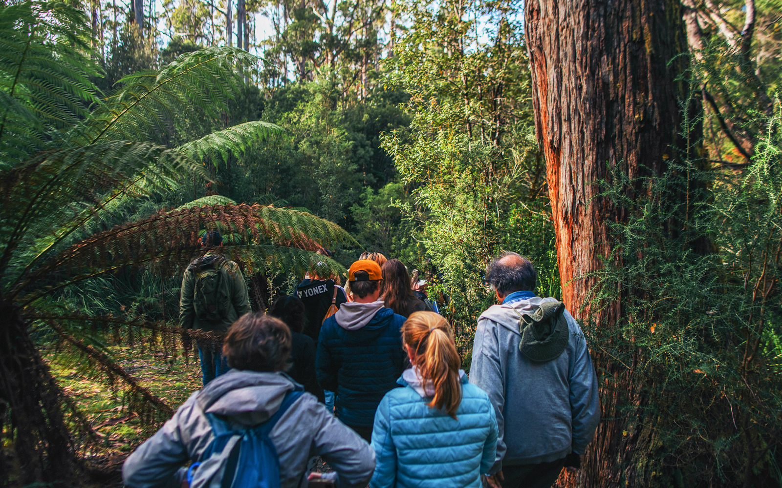 South Bruny National Park