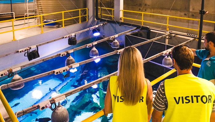 Visitors observing the aquarium tank from above at Cairns Aquarium by Twilight.