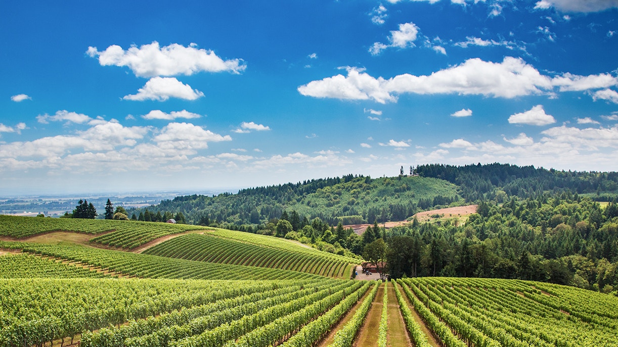 Melhor época para um passeio em Chianti