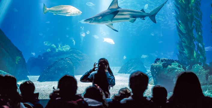 Cala Gonone Aquarium