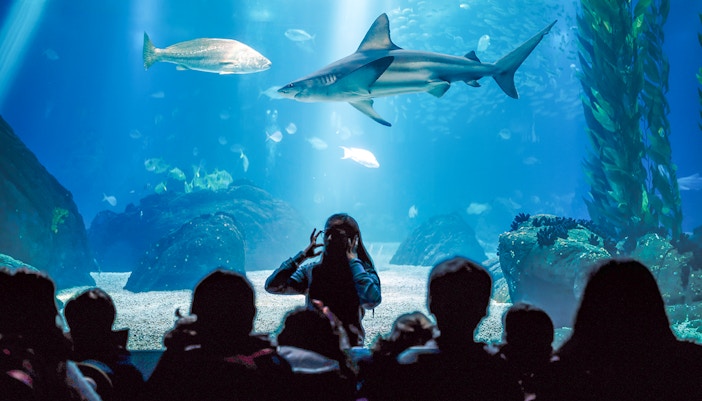 Visitors exploring marine life exhibits