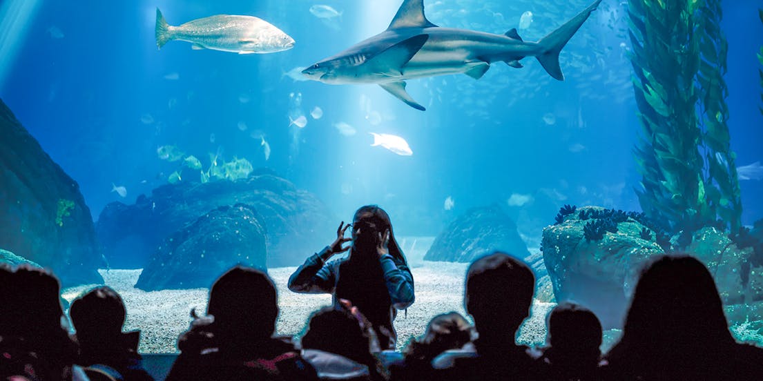 Aquarium de Cala Gonone