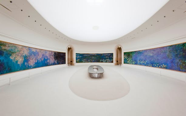 Panoramic view of Monet's Water Lilies in Orsay Museum, Paris, with fast-track entry and audio guide.