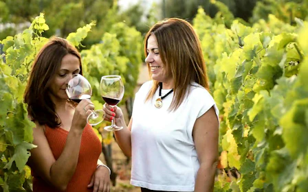 Mijas Organic Vineyard Tour and Tasting with 5 Wines, 2 Olive Oils and Tapas
