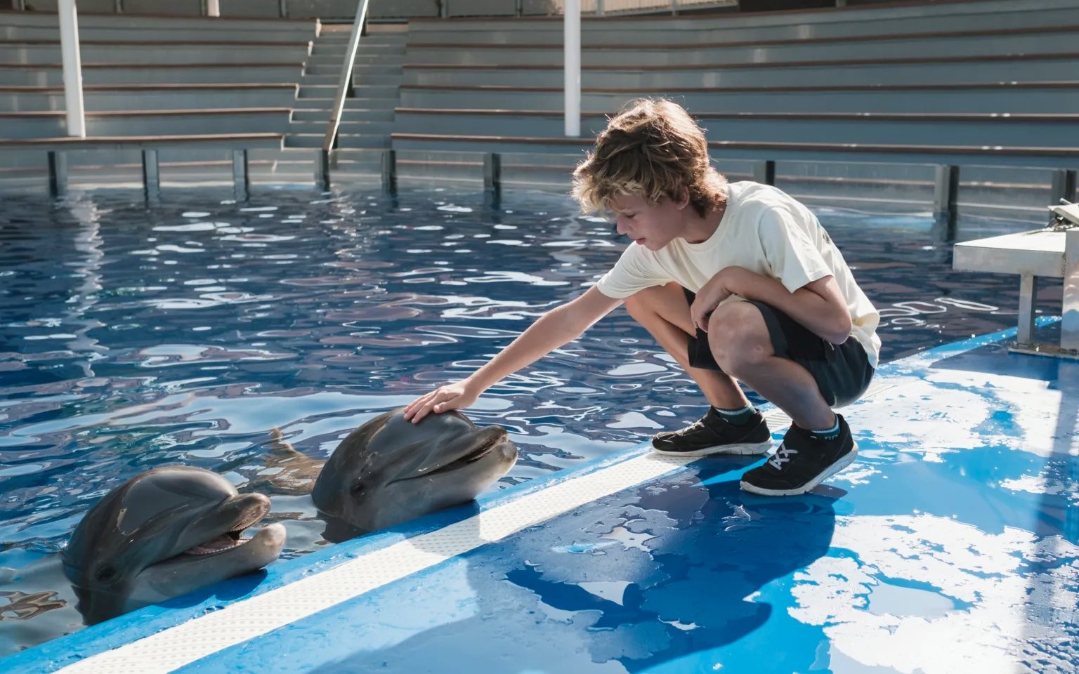 Child interacting with dolphins at Marineland Mallorca.