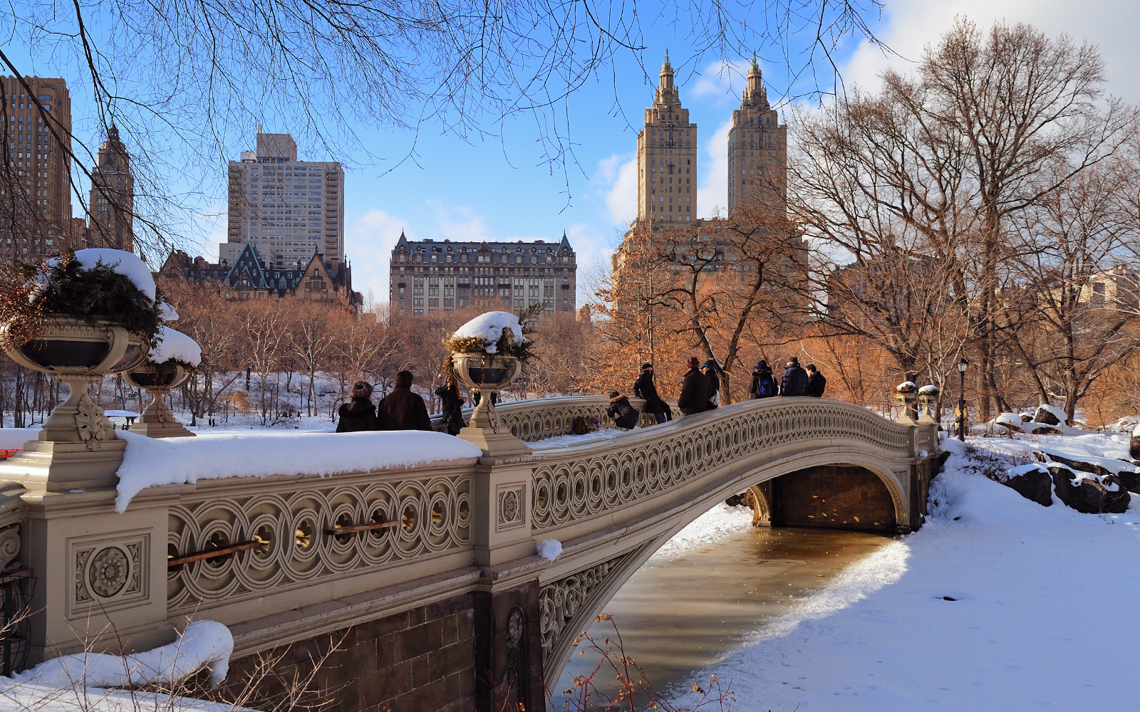 Traveling to New York in February: A Complete Guide for Your Winter Escape