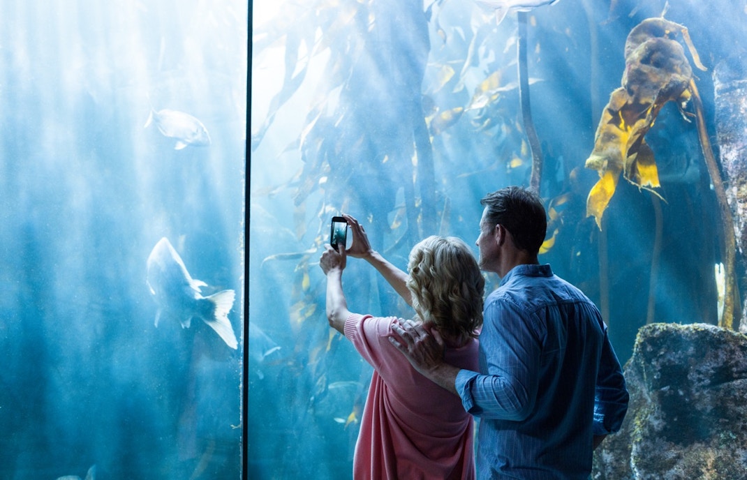 dubai aquarium & underwater zoo